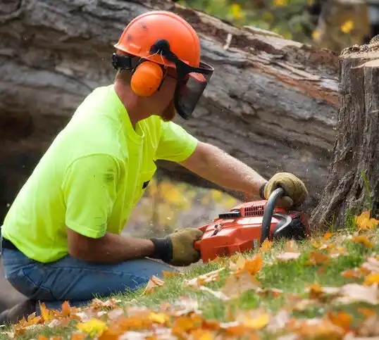 tree services Scott City